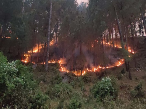 उत्तराखंड के जनपद उत्तरकाशी में रविवार की शाम जंगल में लगी आग ने विकराल रूप धारण कर लिया.