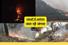 Forest Fire: मेडिकल कॉलेज हॉस्टल तक आग पहुंचने का VIDEO.. बागेश्वर, अल्मोड़ा, नैनीताल में भी तबाही