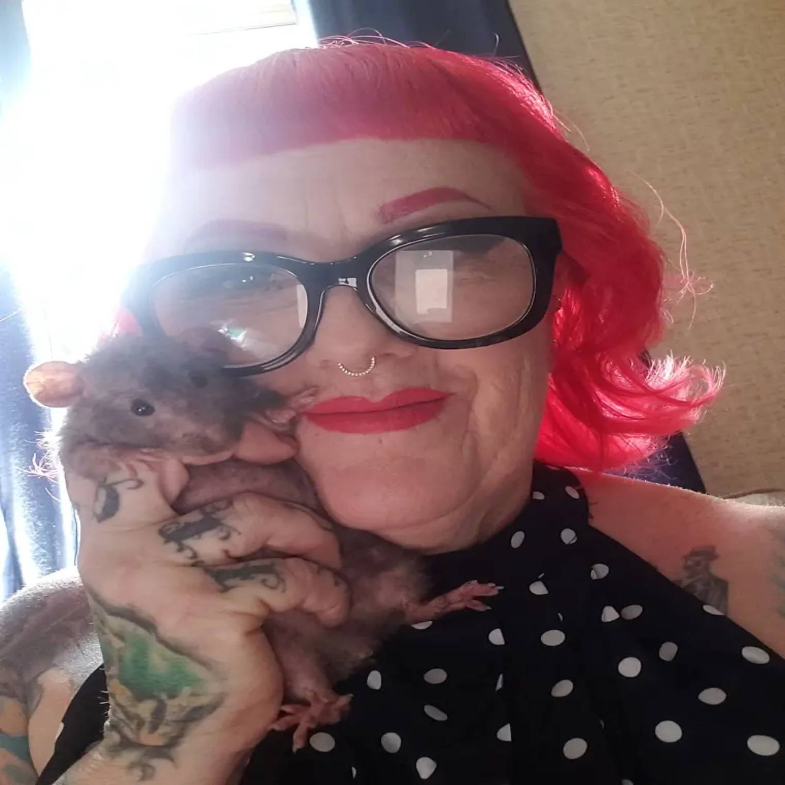 Woman Has 50 Pet Rats, Pet Rats, Michele Raybon, Woman Calls Pet Rats Babies, Pets, Woman Calls Pet Rats Babies, Pets and Owners, Viral On Internet, Trending News