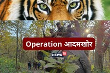 ऑपरेशन आदमखोर: अब गुजरात से आई स्पेशल 30 टीम, एक्सपर्ट ऐसे बिछा रहे जाल