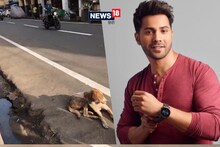 कानपुर में बॉलीवुड एक्टर वरुण धवन की गाड़ी का ट्रैफिक पुलिस ने काटा चालान, जानें मामला