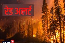 जंगल-जंगल आग: मौसम विभाग का Red Alert, आपके जिले में Forest Fire कितनी भयानक?