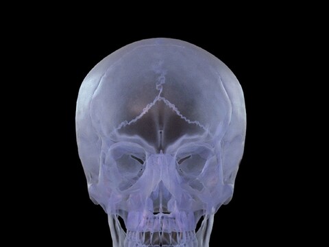 मानव खोपड़ी (Human Skull) में मस्तिष्क तक पहुंचने के लिए मिले चैनल एक नई कहानी बता रहे हैं. (तस्वीर: Wikimedia Commons)