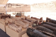ममी, कांसें की मूर्तियां और कब्रगाह... मिस्र ने दिखाया 2500 साल पुराना इतिहास