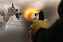 Noida Crime: शख्स को देखकर भौंकने लगा पड़ोसी का कुत्ता तो उसने दाग दी गोली