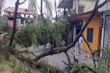 हिमाचल में झमाझम बारिश, पालमपुर में महिला की मौत, पेड़ गिरे, छतें उड़ी