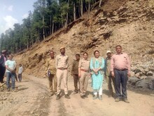 वायरल वीडियो की पड़तालःक्या NH-707 के निर्माण में काटे थे देवदार के 370 पेड़?