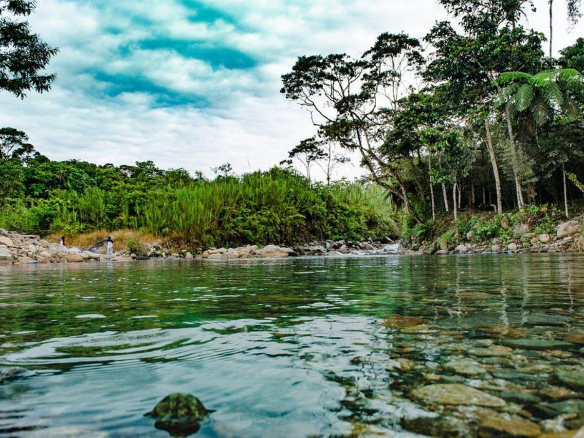 Why Amazon River Has No Bridge, Amazon River, Amazon River Facts, World's Longest River, No Bridge on Amazon River, 6400 km long river has no bridge, no bridge on amazon river