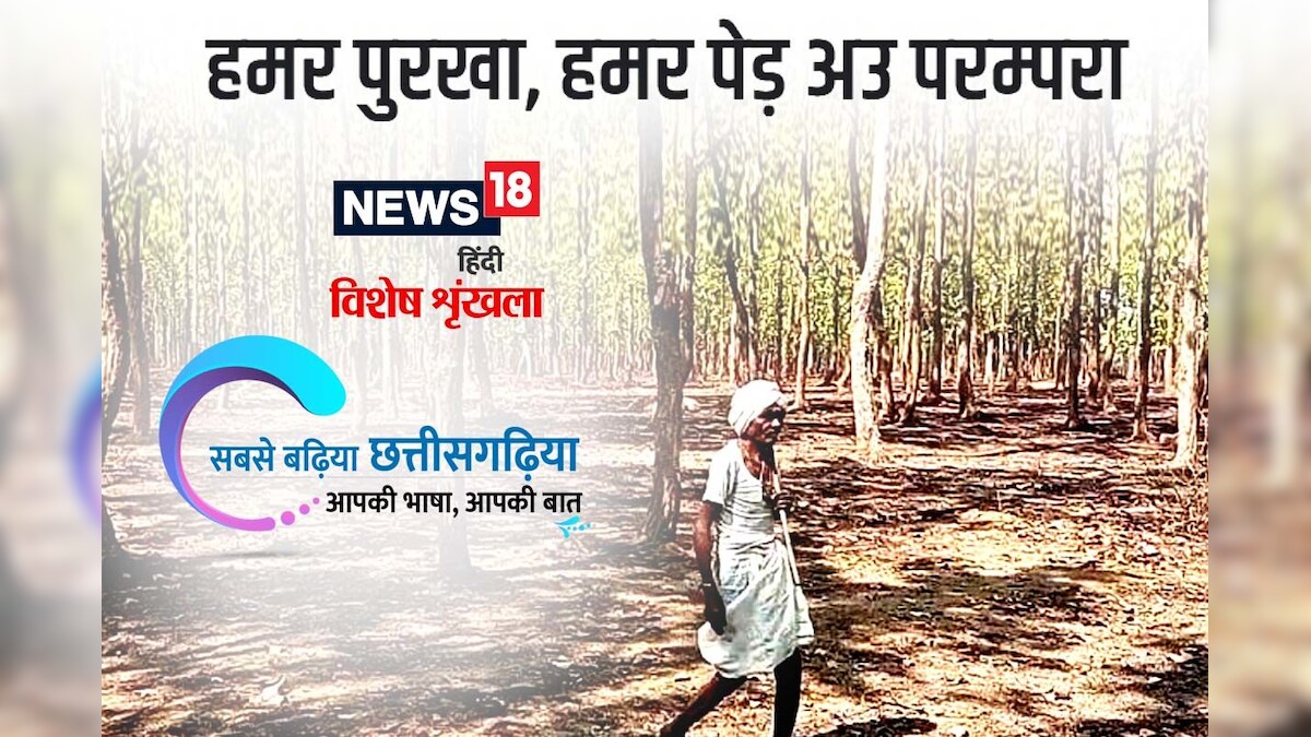 छत्तीसगढ़ी म पढ़व- हमर पुरखा, हमर पेड़ अउ परम्परा