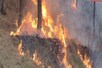 कश्‍मीर: LOC से सटे जंगल की आग पर नियंत्रण, बारूदी सुरंगों में हुए विस्फोट