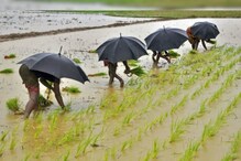 Early Monsoon देगा महंगाई से राहत! घटेंगी खाद्य कीमतें और दूर होगा बिजली संकट