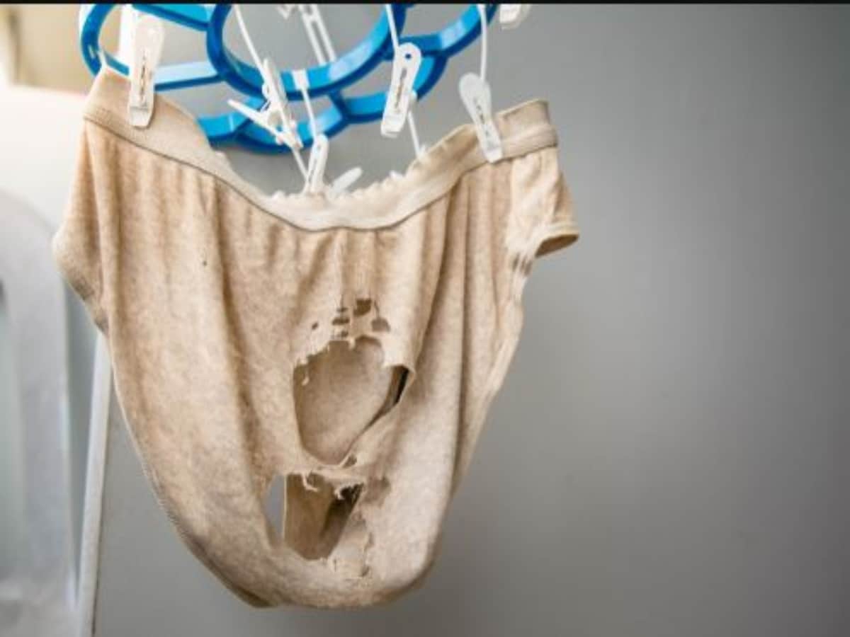 क्या अंडरवियर की भी होती है एक्सपायरी डेट? जानें कब तक कर सकते हैं यूज -  does underwears come with an expiry date know how long one can use sankri –  News18 हिंदी