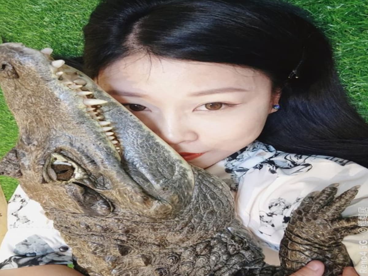 woman pets 6 crocodiles
