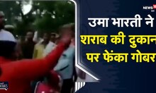 Viral | Orchha में Uma Bharti ने शराब की दुकान पर फेंका गोबर