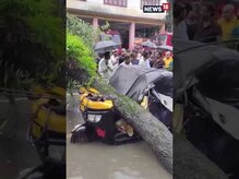 Assam: बारिश का कहर, बड़े पेड़ के नीचे दब गयी Auto Rickshaw | Shorts
