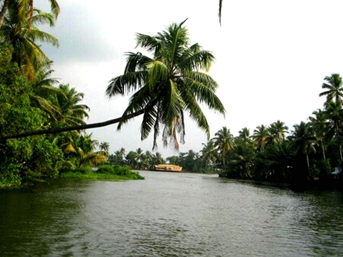 Kerala Ashtamudi Lake