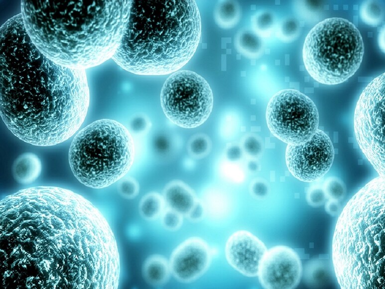 Covid-19, Covid-19 Pandemic, Black Death, Black Death Pandemic, Black Death origin, Kyrgyzstan, archaeology, 