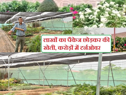Rajasthan News: राजस्थान के जोधपुर के ललित ने लाखों का जॉब छोड़ खेती में अपना करियर बना लिया.