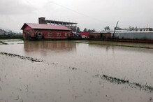 मंडी में बारिशः पहली ही बारिश में बल्हघाटी जलमग्न, खेतों-घरों में घुसा पानी