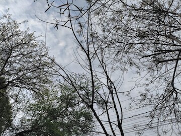 MP Weather: मध्य प्रदेश में मानसून की एंट्री हो गई है. कई जिलों में बारिश ने लोगों को गर्मी से राहत दी. MP Weather: मध्य प्रदेश में मानसून की एंट्री हो गई है. कई जिलों में बारिश ने लोगों को गर्मी से राहत दी.