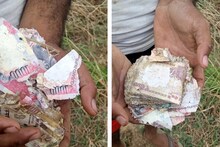 पटना में खेत से निकलने लगे 500 और 1000 के पुराने नोट, करोड़ों रुपये लूट कर ग्रामीण फ़रार