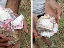 जब खेत से निकलने लगे 500-1000 के पुराने नोट, करोड़ों रुपये लूट कर ग्रामीण फरार
