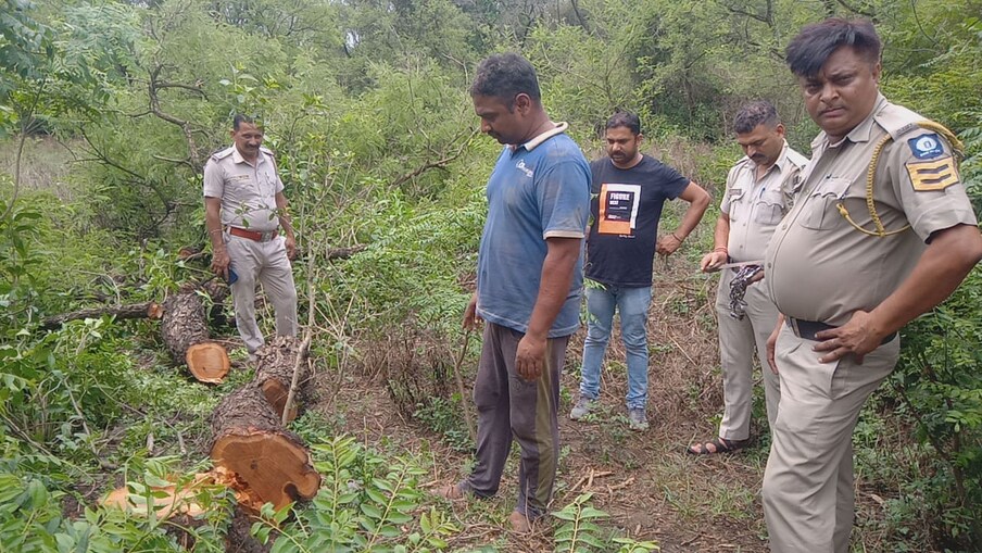  डीएफओ देहरा सन्नी वर्मा ने बताया कि मंगलवार 29 जून वन परिक्षेत्र देहरा के कर्मचारियों द्वारा रात छापेमारी के दौरान 3 वन तस्करों और एक इंडिका कार को पकड़ा है. वन अधिकारी विगत 6 माह से लगातार इन संवेदनशील स्थानों पर छापेमारी कर रहे हैं. बीती रात सीएफएस में छापेमारी के दौरान पेड़ (खैर) के तस्करों ने वन अधिकारियों को देखा और भाग गए. इसके बाद तस्करों के घटना स्थल पर वापस आने के लिए वन अधिकारियों ने 2 घंटे तक उनका इंतजार किया.