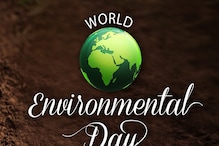 World Environment Day 2022: क्यों दोहराया जा रहा है 50 साल पुराना नारा