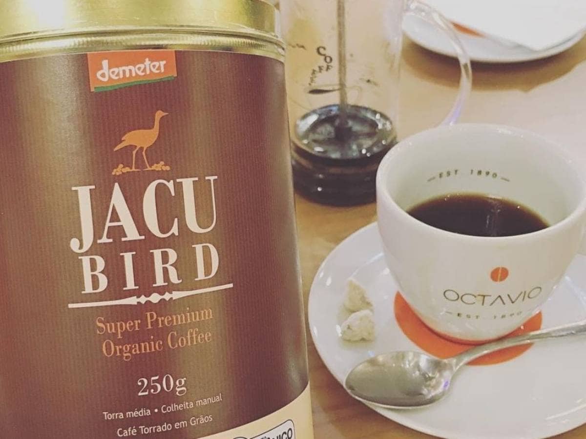 Jacu Coffee, Jacu bird coffee, brazil, coffee, coffee making, worlds expensive coffee Viral On Social Media