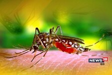 दिल्ली में इस साल डेंगू के 126 और मलेरिया के 21 मामले आए सामने