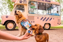 अब कुत्तों के लिए मार्केट में लॉन्च हुई खास आइसक्रीम, चखेंगे वनीला-ऐपल फ्लेवर