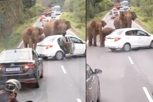 Video : बीच सड़क पर गुस्से में आया हाथियों का दल, कार पर कर दिया अटैक