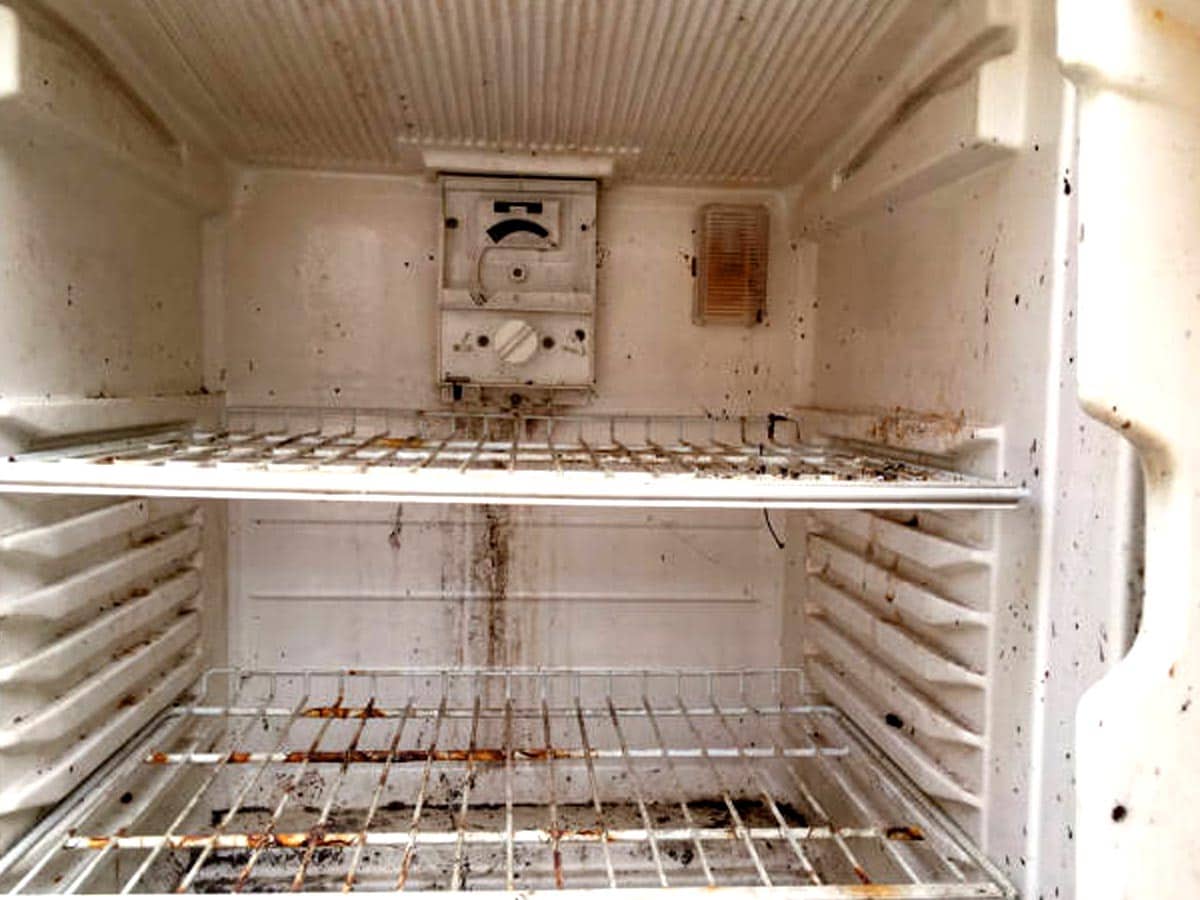 how to clean fungus in fridge अगर फ्रिज में लग जाती हो फंगस तो जानें