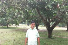 यह है बिहार का राष्‍ट्रवादी आम का बागीचा, बाग में 29 किस्‍म के हैं 450 पेड़