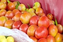 हरियाणा: टमाटर ने बिगाड़ा सब्जियों का जायका, 100 रुपये किलो पहुंचे दाम