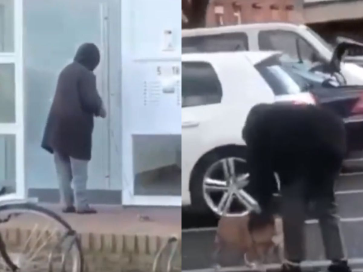 VIDEO पेट डॉग के साथ सड़क पर निकली महिला, हाथ में पट्टा लिए बढ़ गई आगे