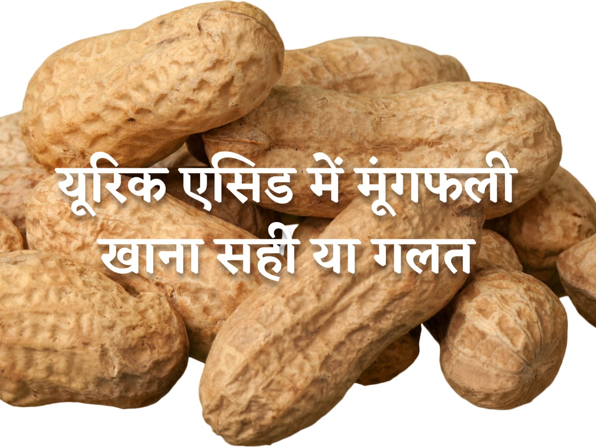 यूरिक एसिड बढ़ने पर मूंगफली खाना सही या गलत? जानिए is it okay to eat