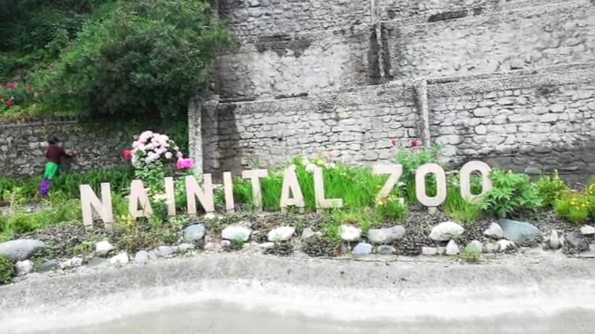 Nainital: पर्यटकों की पसंद बना नैनीताल का चिड़ियाघर जून में पहुंचे 43000 से ज्यादा सैलानी