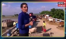 Amour Floods News : Bihar के अमौर में बाढ़ से तनाव, एक ही पुल पर बसाया कई लोगों ने घर | Latest News