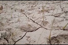 Kanpur: इस साल बरसात ना होने से किसान मायूस, खेती का हो रहा भारी नुकसान