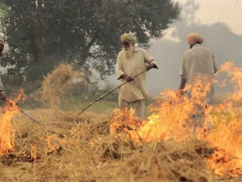  पहली बार है कि किसानों को पराली जलाने से दूर रखने के लिए नकद प्रोत्साहन की पेशकश की जा रही है. (फ़ाइल फोटो- NEWS18)