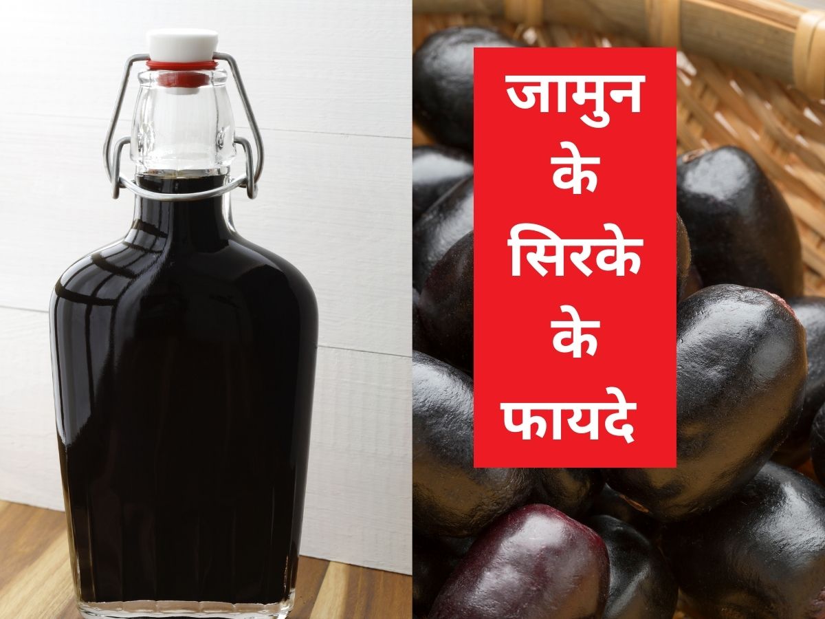 किडनी ही नहीं, डायबिटीज की समस्‍या को भी दूर करता है जामुन का सिरका