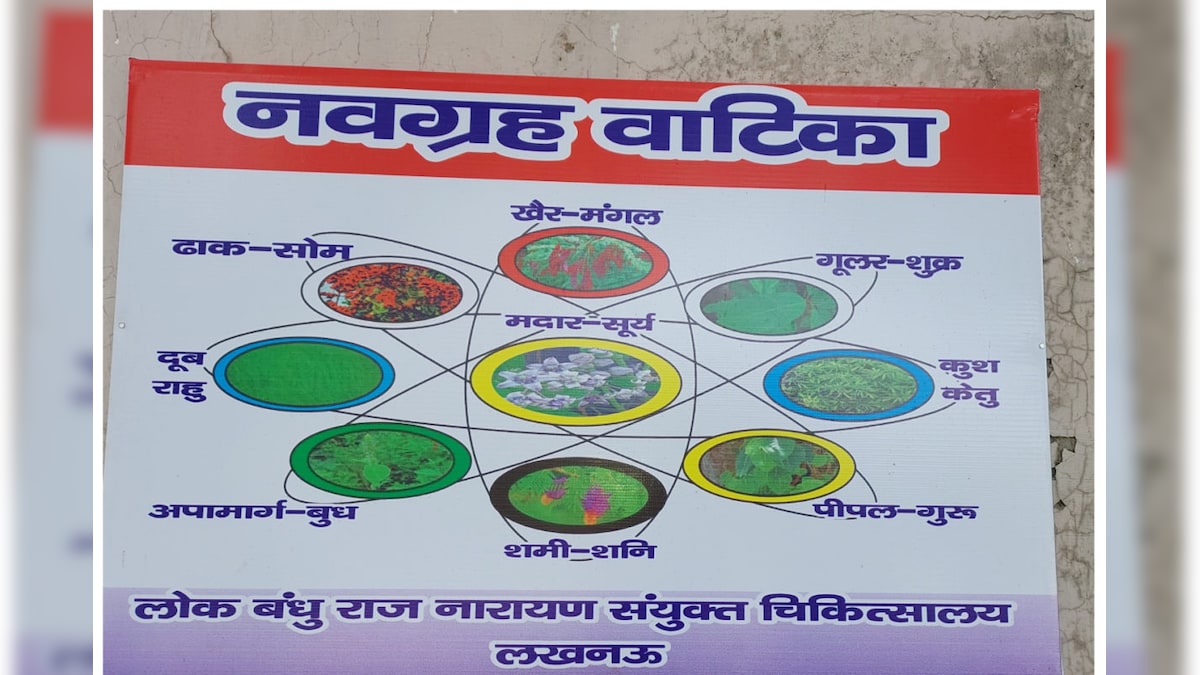 Lucknow: लोकबंधु अस्‍पातल में बनी नवग्रह वाटिका जानें क्‍यों डॉक्टर और मरीज के परिजन करते हैं पूजा