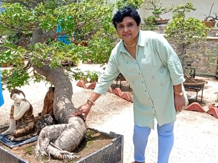 आभूषण कारोबारी के घर सोणेसोणे बोनसाइ पेड़ों की चमक, See Photos