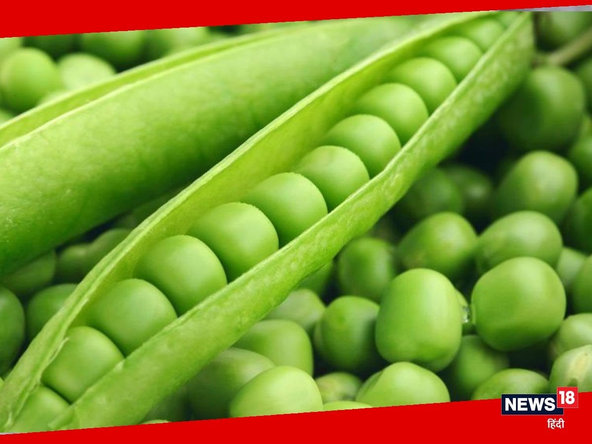 सेहत के लिए फायदेमंद 'मटर' का है हज़ारों साल पुराना इतिहास, जानें इससे