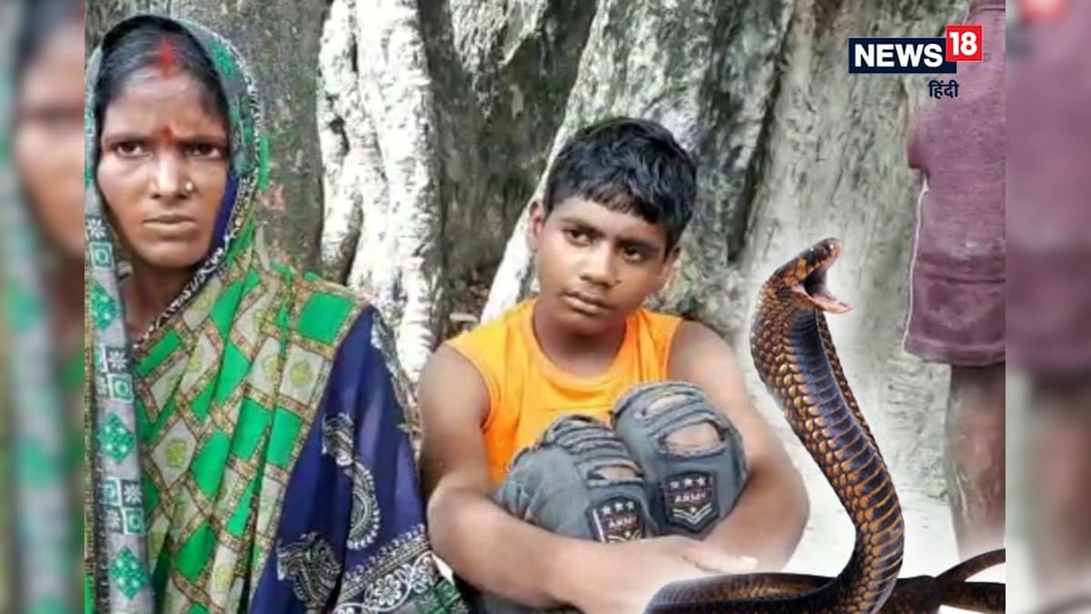 OMG! 5 साल पहले सांप के काटने से हुई थी मौत अब महिला ने बेटे को जिंदा खोजने का किया दावा