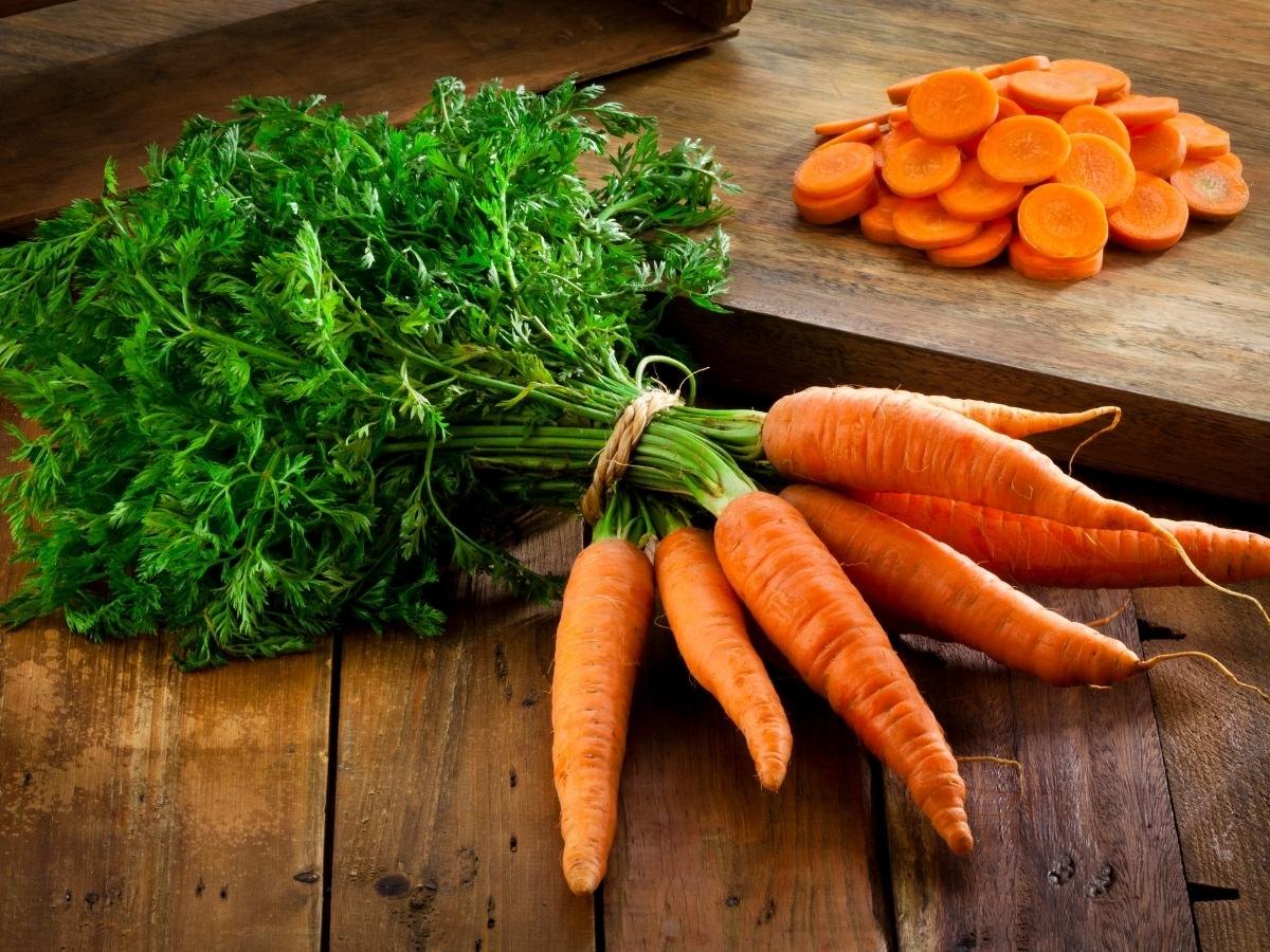 ब्रेन को हेल्दी रखने के साथ खून को साफ करती है गाजर, विटामिन से भरपूर इस  सब्जी का है दिलचस्प इतिहास - carrot health benefits history and interesting  facts in hindi rada –