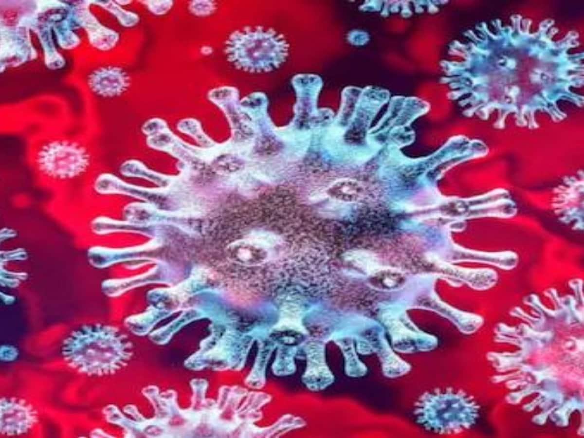 himachal corona virus, shimla, mandi, lahaul spiti