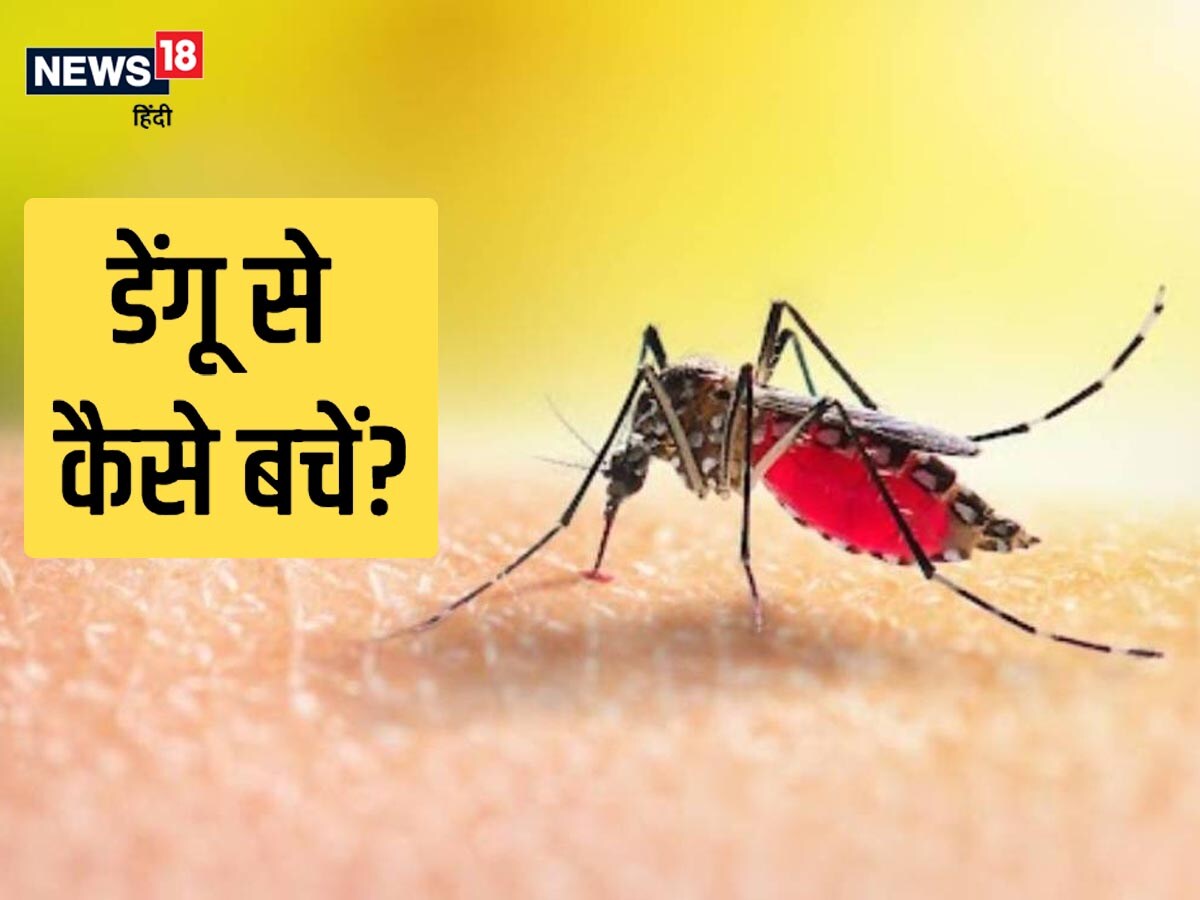 dengue Symptoms and prevention