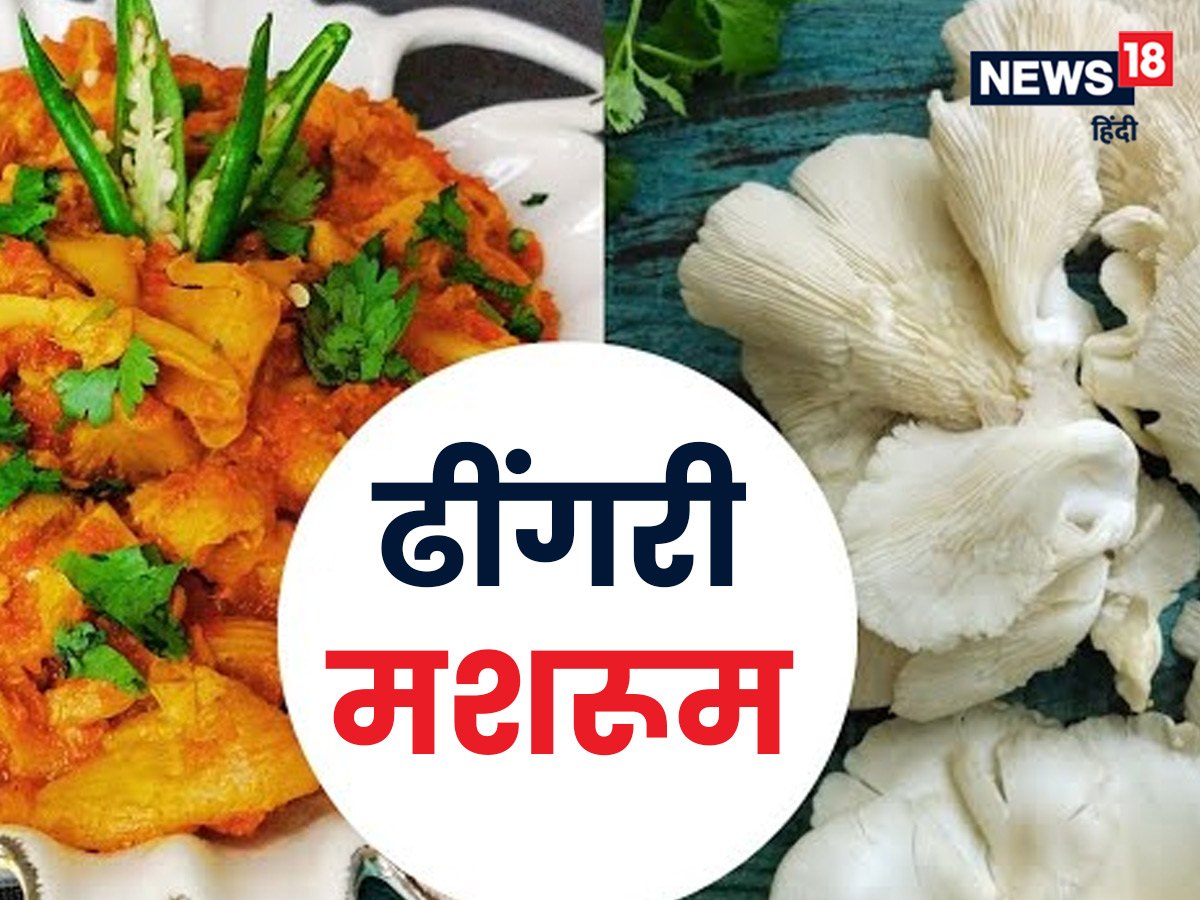 Dhingri Mushroom Ki Sabji Recipe दिल को हेल्दी रखने के लिए खाएं ढींगरी